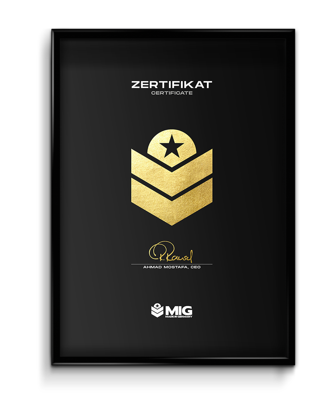 PICTURE FRAME FOR MIG CERTIFICATE